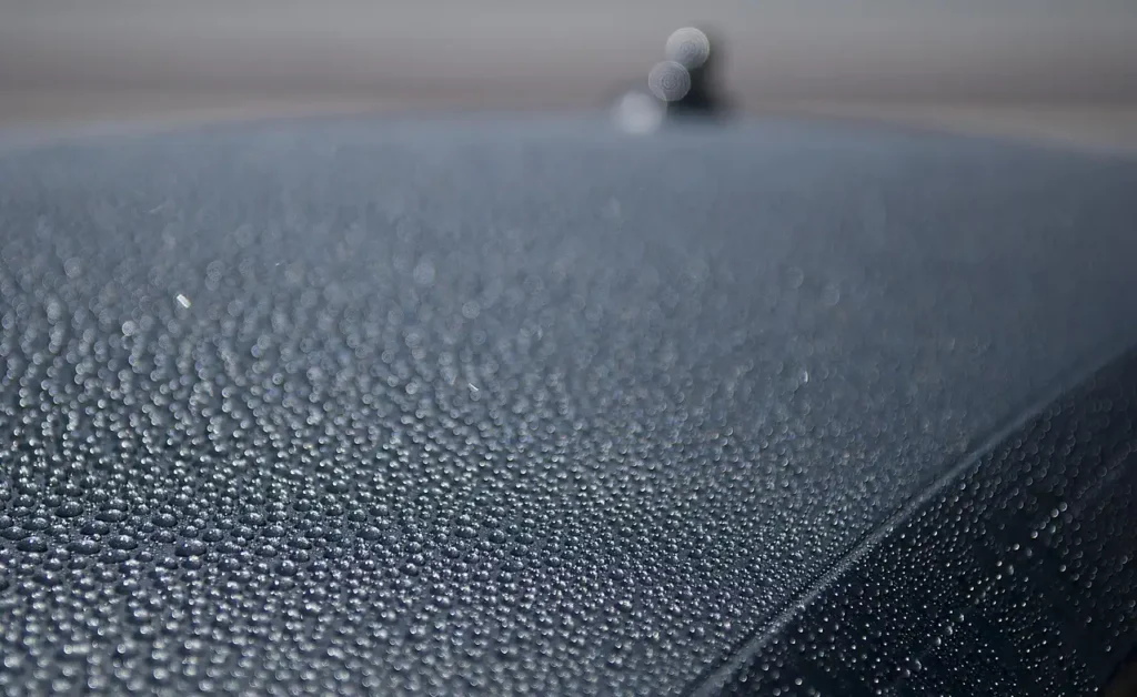 Car wax vs polish: difference and when to use each