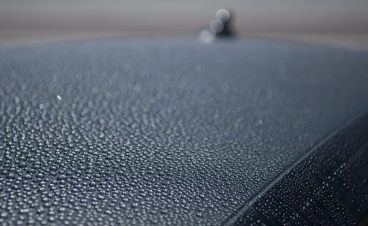 Choose Car wax if… / Choose polish if…