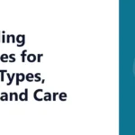 Detailing Brushes for Cars: Types, Uses, and Care