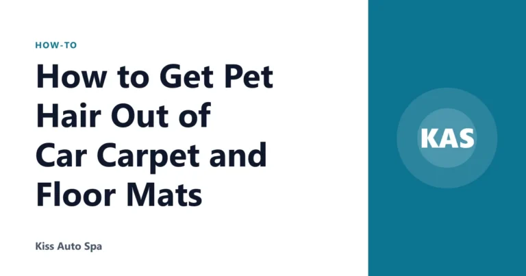 How to Get Pet Hair Out of Car Carpet and Floor Mats