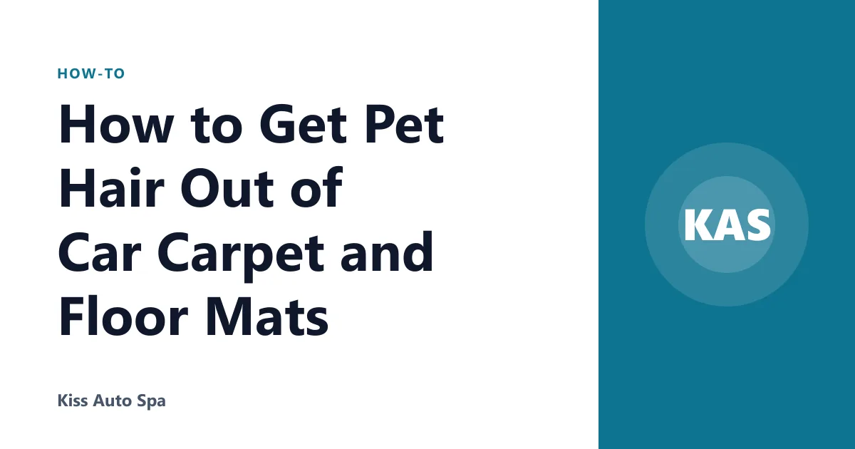 How to Get Pet Hair Out of Car Carpet and Floor Mats
