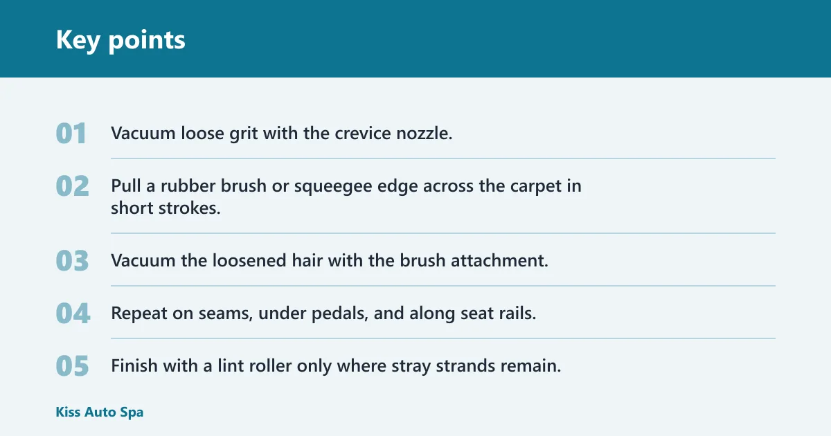 Key points: How do you remove pet hair from carpet?