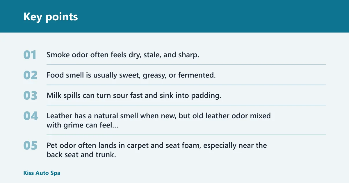 Key points: How do you identify the source of used car smell?