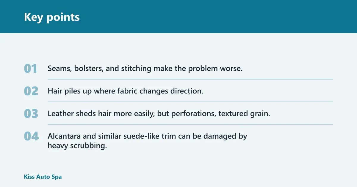 Key points: Why pet hair clings to car seats