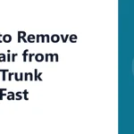 How to Remove Pet Hair from a Car Trunk Liner Fast