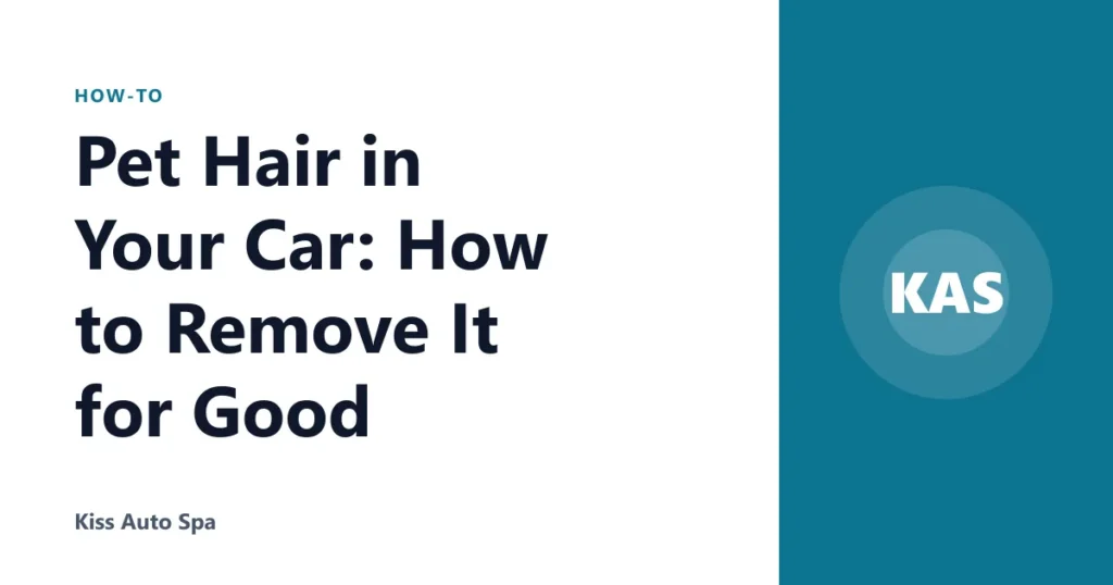 Pet Hair in Your Car: How to Remove It for Good