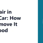 Pet Hair in Your Car: How to Remove It for Good