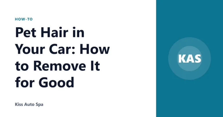 Pet Hair in Your Car: How to Remove It for Good