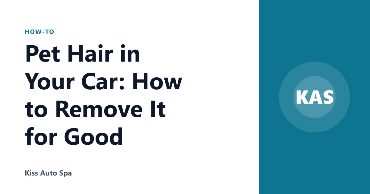 Pet Hair in Your Car: How to Remove It for Good