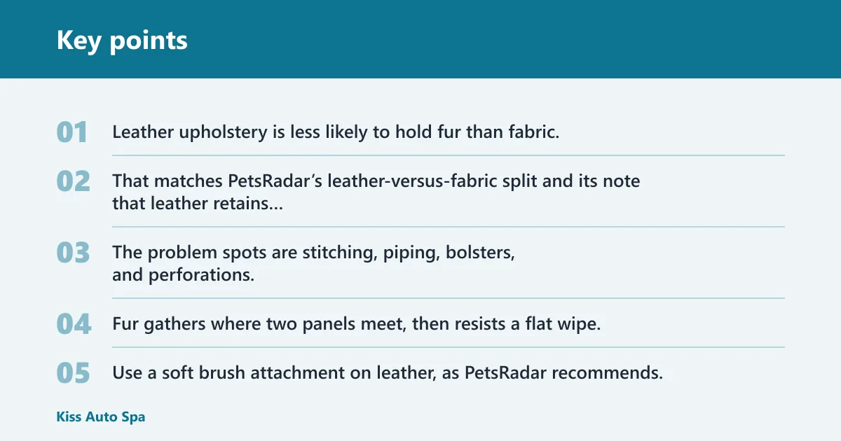 Key points: Why does pet hair stick differently on leather, fabric, and carpet?