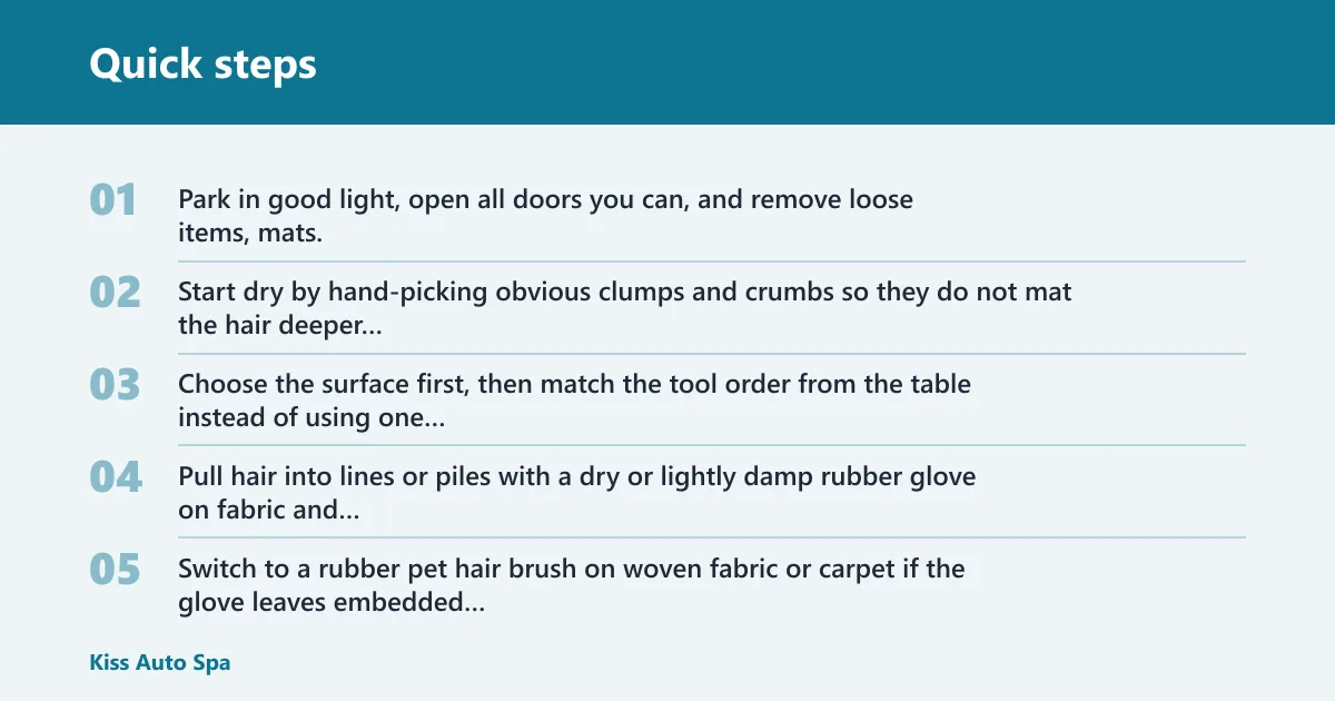 Quick steps: Remove pet hair step by step