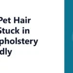 Why Pet Hair Gets Stuck in Car Upholstery So Badly
