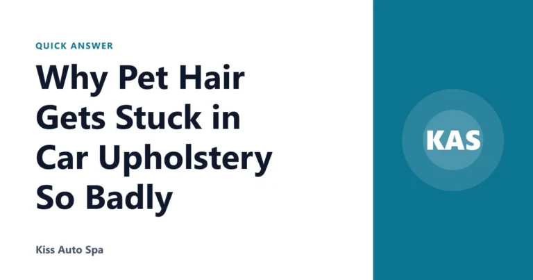 Why Pet Hair Gets Stuck in Car Upholstery So Badly
