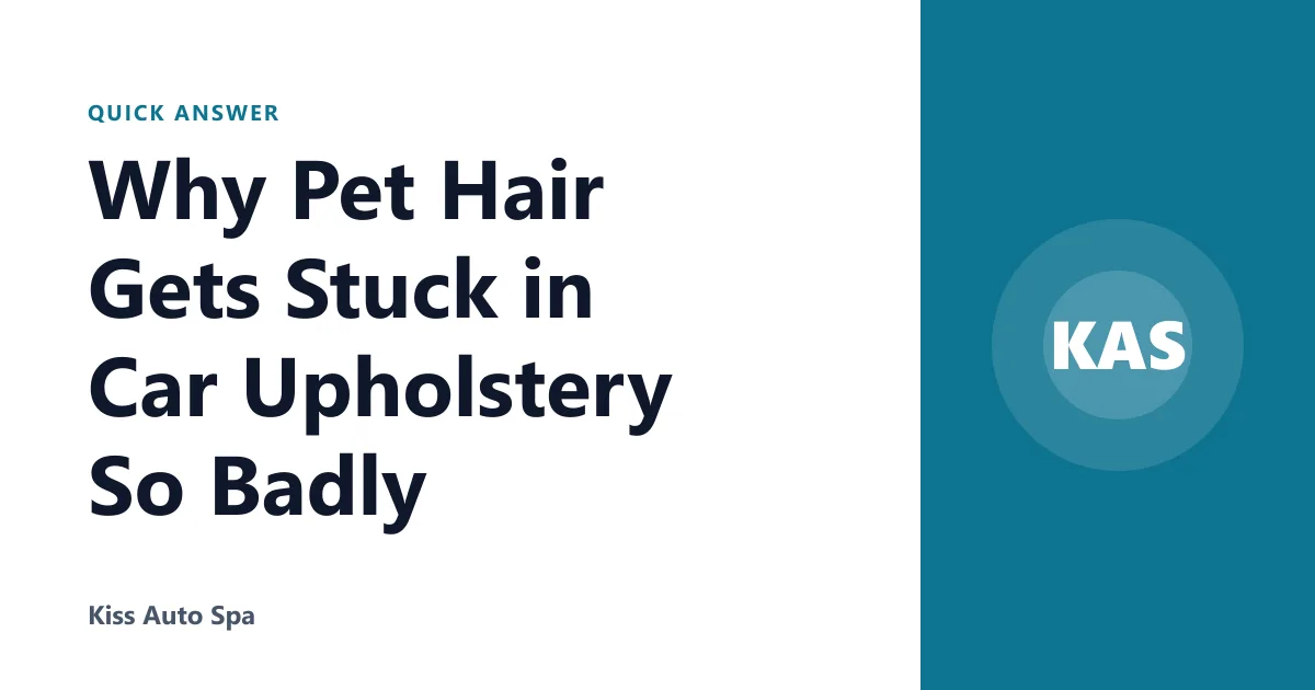 Why Pet Hair Gets Stuck in Car Upholstery So Badly