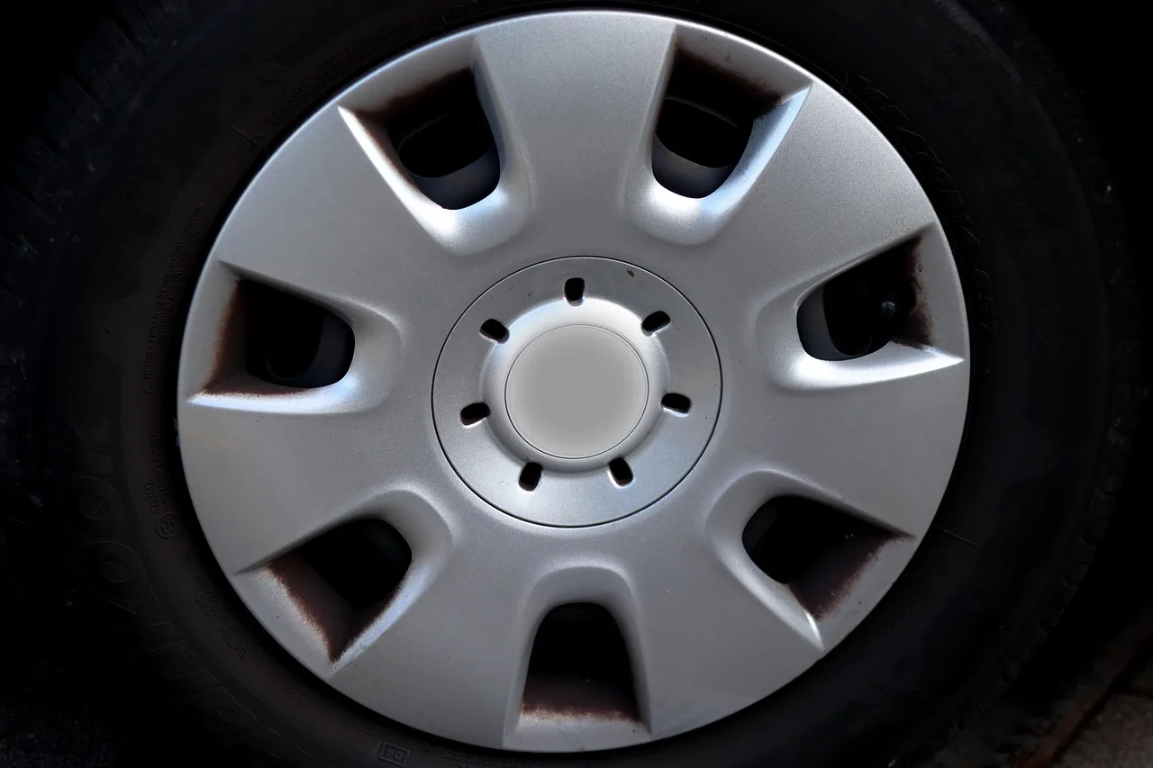 Normal Dust or Brake Problem?