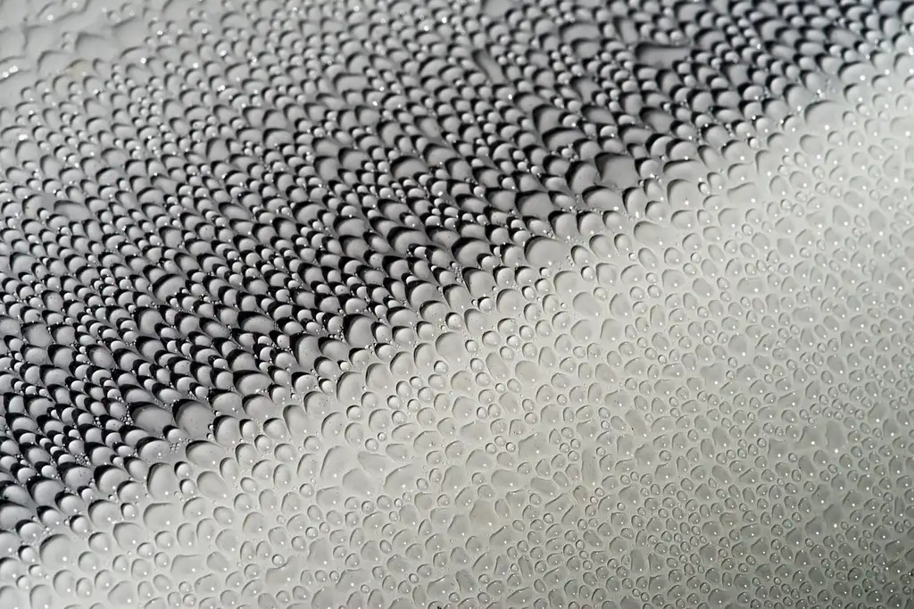 Why is it important to wax your car?